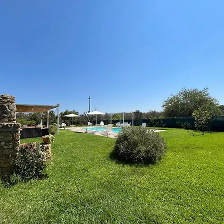 Mazzapinta